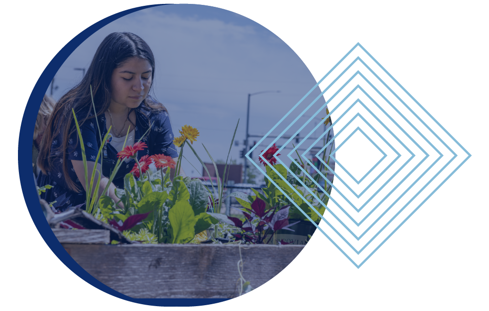 vector image of people working together in a community