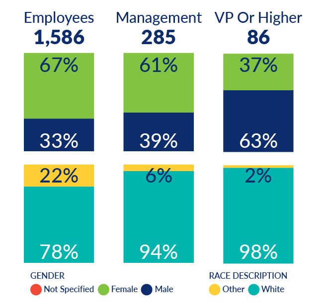 vector graphic of team climbing up stairs to the top